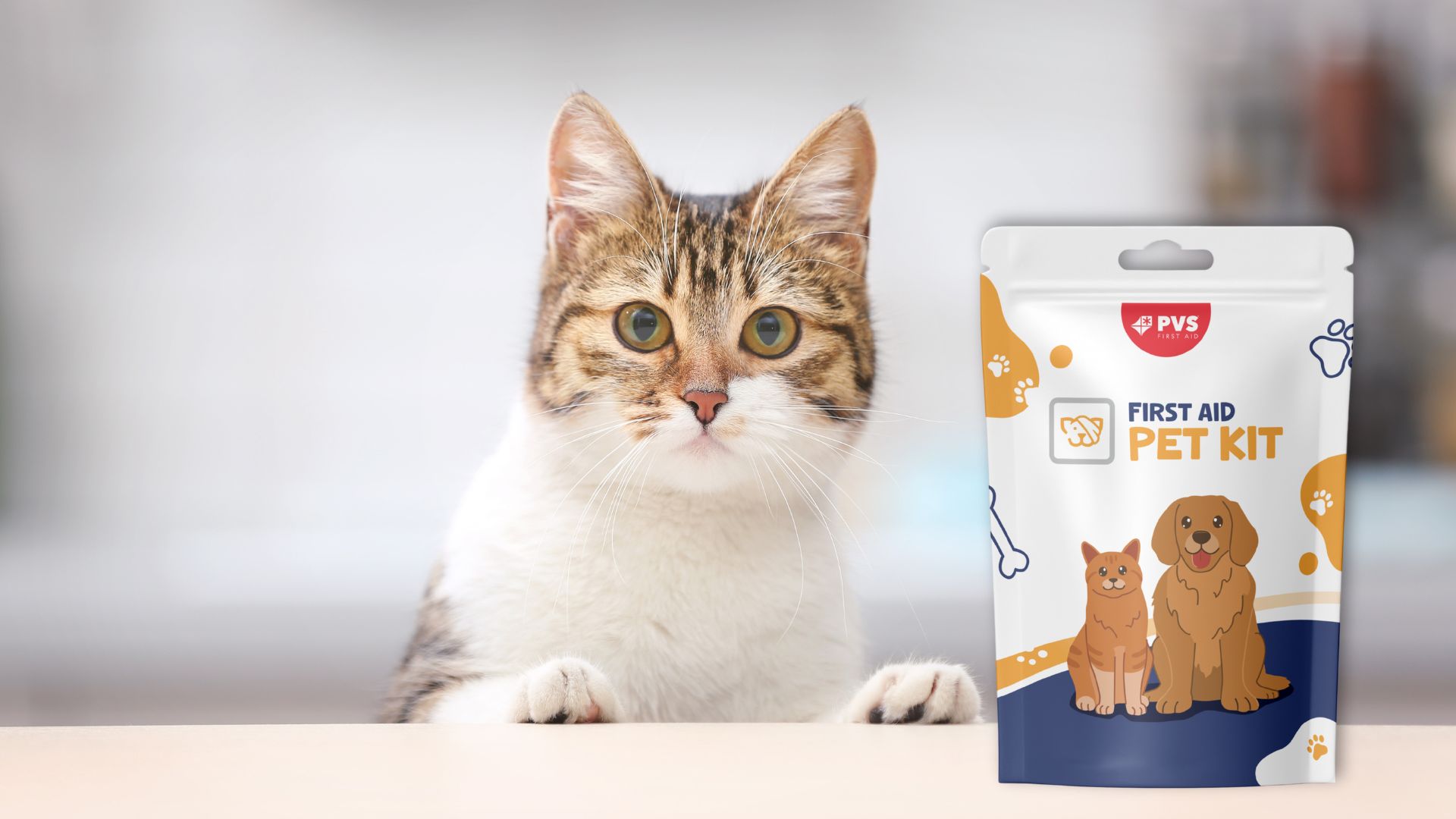PVS-SPA - Pet Kit_kitchen